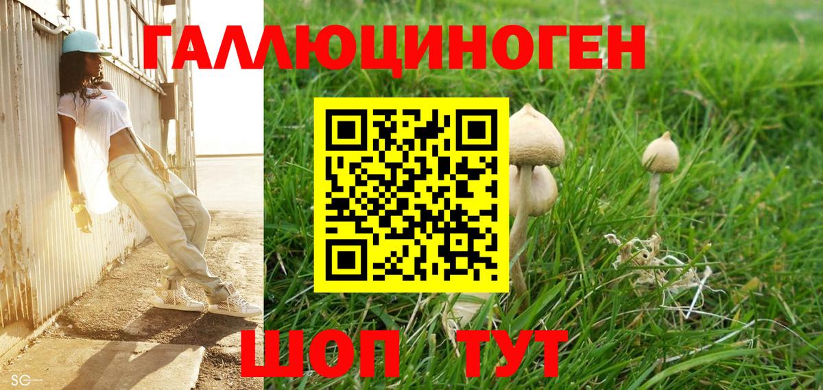 Псилоцибиновые грибы GOLDEN TEACHER Набережные Челны
