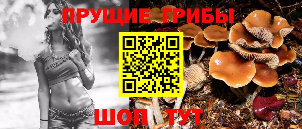 Галлюциногенные грибы прущие грибы  Вход с VPN  Набережные Челны 